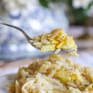 Parmesan Squash Orzo