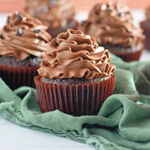 Double Chocolate Cupcakes