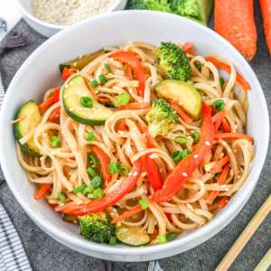 Vegetarian Stir Fry Noodles