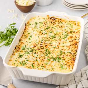 Chicken Alfredo Lasagna